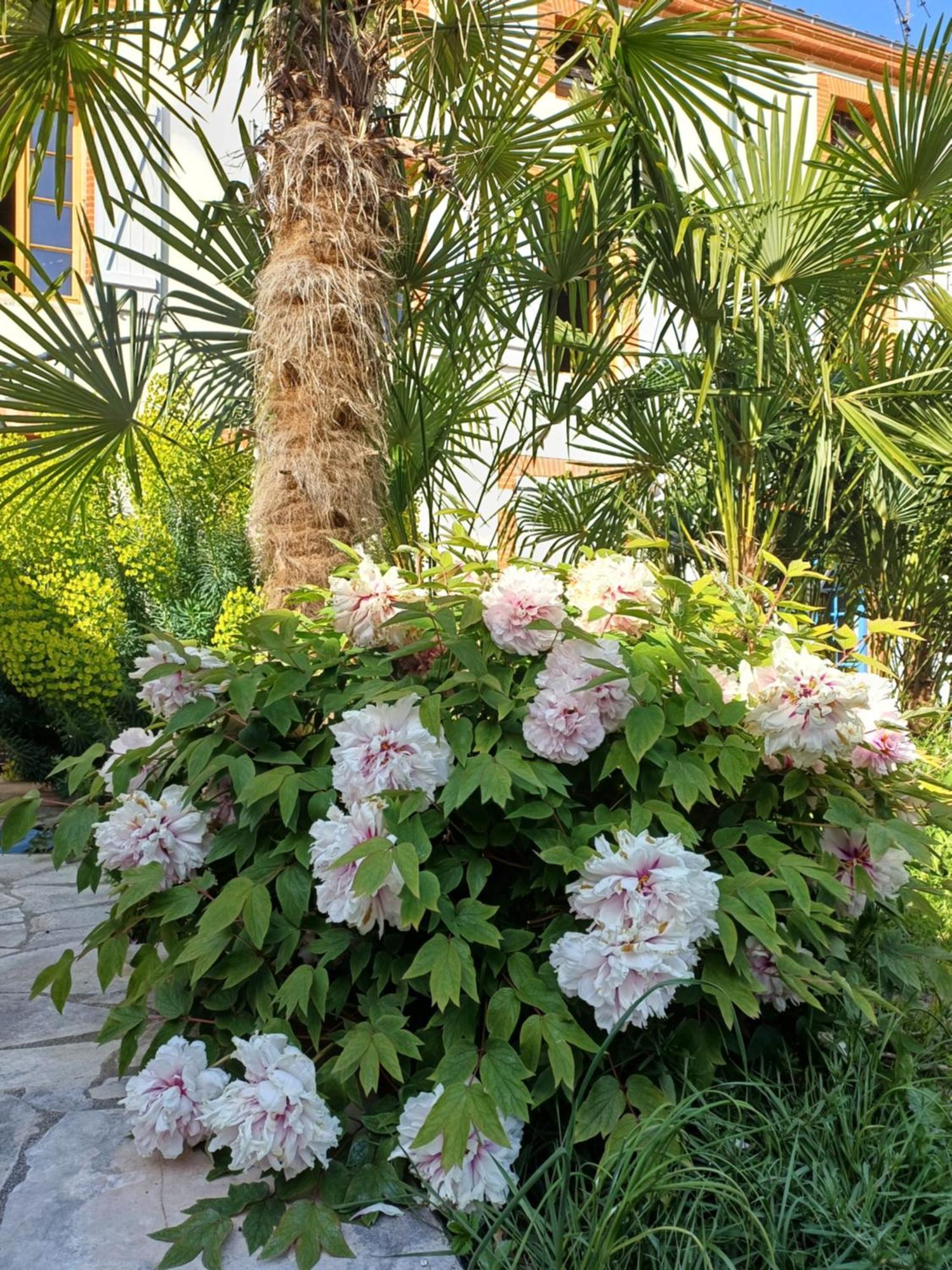 Le Relais De Lezat Hotel Luaran gambar